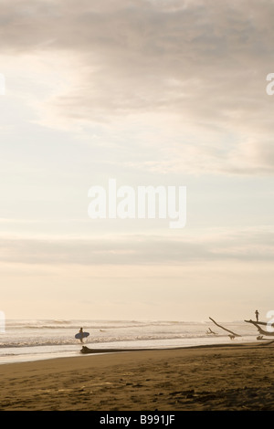 Surfer in corrispondenza del bordo di mare con donna guardando da un grande driftwood formazione sulla spiaggia in Dominical, Costa Rica. Foto Stock