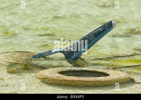 Volare il ribaltamento in disuso di una cava di pietra Foto Stock