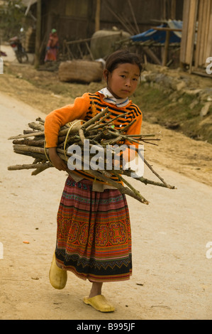 Fiore ragazza Hmong che porta a casa la legna da ardere da mercato del Cau figlio vicino a Bac Ha Vietnam Foto Stock