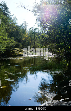 Tranquillo fiume scena Foto Stock