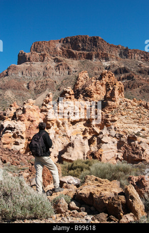 Escursionista maschio vicino Piedras Amarillas (giallo pietre) in Parque Nacional del Teide Tenerife nelle isole Canarie Foto Stock