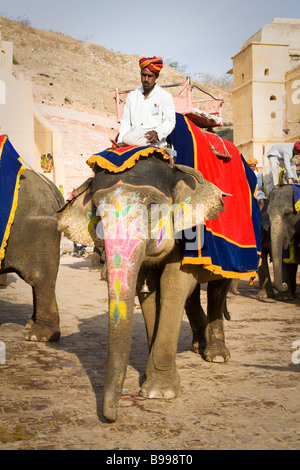 Mahout seduto su un elefante, Ambra Palace, ambra, vicino a Jaipur, Rajasthan, India Foto Stock