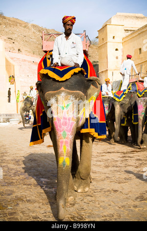 Mahout seduto su un elefante, Ambra Palace, ambra, vicino a Jaipur, Rajasthan, India Foto Stock