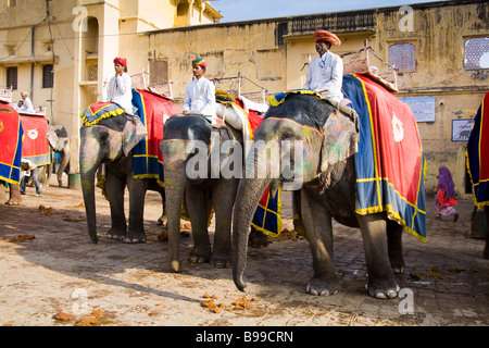 Gli elefanti e mahouts, Ambra Palace, ambra, vicino a Jaipur, Rajasthan, India Foto Stock