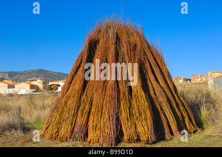 Vimini Priego Provincia Cuenca Castilla La Mancha Spagna Foto Stock