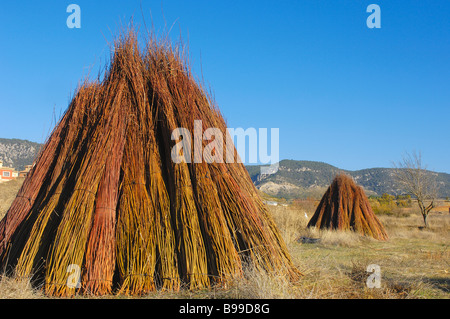 Vimini Priego Provincia Cuenca Castilla La Mancha Spagna Foto Stock