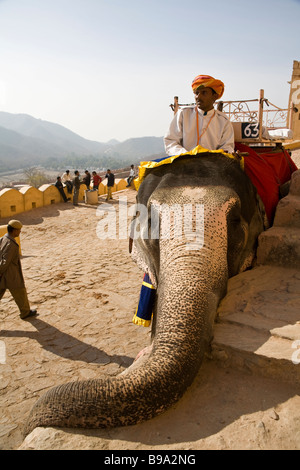 Mahout seduto su un elefante, Ambra Palace, ambra, vicino a Jaipur, Rajasthan, India Foto Stock