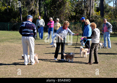 Outdoor cane obbedienza treni di classe di proprietari e cani Foto Stock