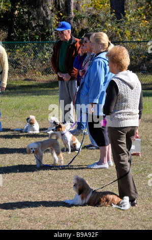 Outdoor cane obbedienza treni di classe di proprietari e cani Foto Stock