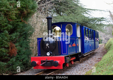 Bicton Woodland Railway Bicton Gardens East Devon Foto Stock