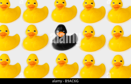 Uno nero rubber duck tra molti giallo le papere di gomma Foto Stock
