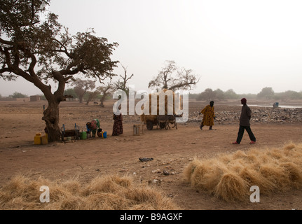 Africa occidentale Sahel Burkina Faso Gorom Gorom uno del più grande mercato settimanale nel Sahel Foto Stock