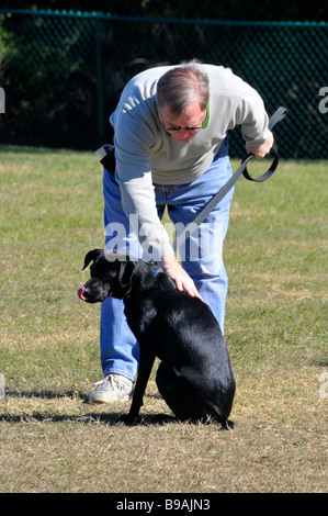 Outdoor cane obbedienza treni di classe di proprietari e cani Foto Stock