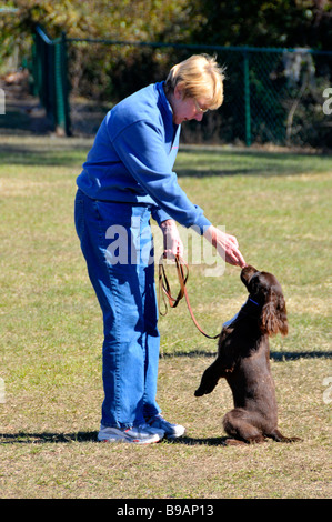 Outdoor cane obbedienza treni di classe di proprietari e cani Foto Stock