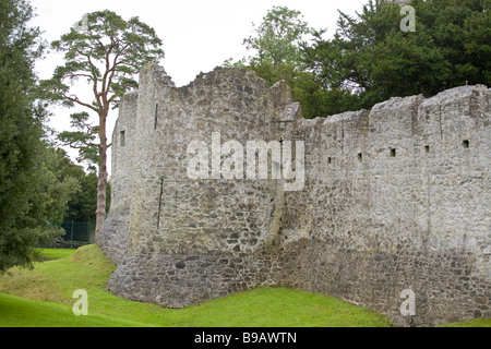 Le pareti esterne del Castello di Adare. La pietra grezza pareti di curvatura di questa piccola casa fortificata nel sud-ovest dell'Irlanda. Foto Stock