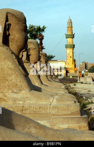 Il viale di Sfingi presso l'antico Tempio di Luxor in Luxor sul Nilo in Egitto Foto Stock