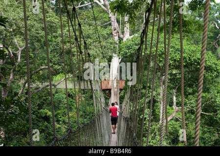 West Africa Ghana Kakum National Park il pontile Foto Stock