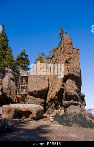 Hopewell Rocks - Baia di Fundy, New Brunswick, Canada Foto Stock