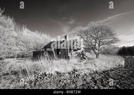 Un fatiscente marea " Cottage " nella campagna di Norfolk, Gran Bretagna. Foto Stock