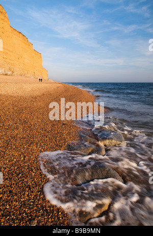 Scogliere dorate in prima serata luce solare a Burton Bradstock, Dorset Foto Stock