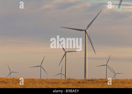 La mattina presto a turbine eoliche la generazione di potenza elettrica al cavo del cavallo fattoria eolica Nolan county Texas Foto Stock