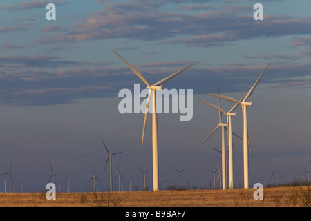 La mattina presto a turbine eoliche la generazione di potenza elettrica al cavo del cavallo fattoria eolica Nolan county Texas Foto Stock