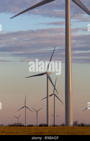 La mattina presto a turbine eoliche la generazione di potenza elettrica al cavo del cavallo fattoria eolica Nolan county Texas Foto Stock