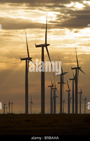 La mattina presto a turbine eoliche la generazione di potenza elettrica al cavo del cavallo fattoria eolica Nolan county Texas Foto Stock