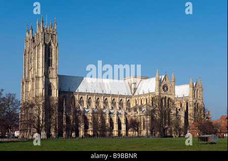 Beverley Minster,'East Riding' dello Yorkshire, Inghilterra,'Gran Bretagna" Foto Stock