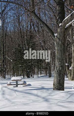 Un parco pubblico in inverno con tavoli da picnic innevati splendidi paesaggi naturali nessuno in verticale nel Michigan Stati Uniti sfondo ad alta risoluzione Foto Stock