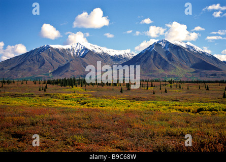 Alaska deserto colori autunnali cime innevate su Alaska cruise tour in treno di Denali Foto Stock