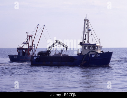 Draghe aspiranti pesca cardidi in Washington. Foto Stock