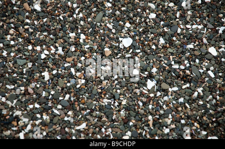 Macro shot di ciottoli di piccole dimensioni Foto Stock