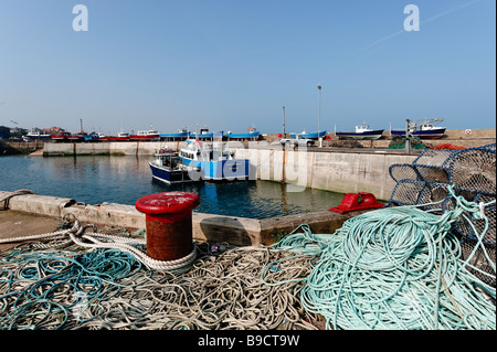 Porto di Seahouses in Northumberland Foto Stock