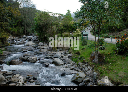 Il fiume Savegre, Savegre Albergo di montagna, San Gerardo de Dota, Costa Rica Foto Stock