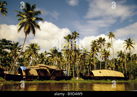 Il Kerala houseboats (riso barche) ancorata sotto le palme nelle backwaters Foto Stock