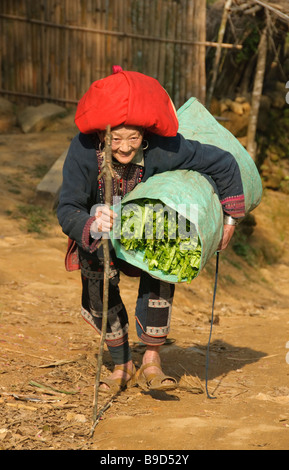 Old Red Yao donna in Sapa Vietnam Foto Stock