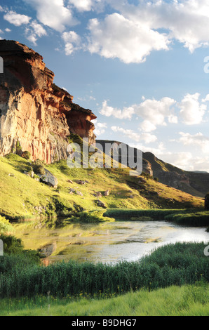 Una lussureggiante vegetazione attorno all'acqua riempito di dam Golden Gate Highlands National Park in Sud Africa Foto Stock