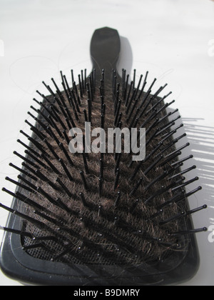 Spazzola per capelli intasato con peli Foto Stock