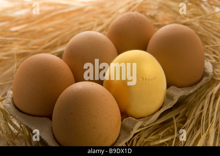 Golden Egg in eggbox Foto Stock