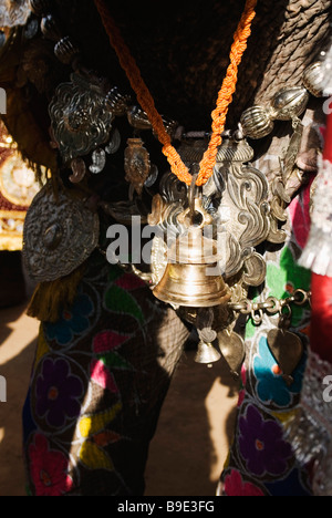 Bell appeso su un elefante il collo, elefante Festival, Jaipur, Rajasthan, India Foto Stock