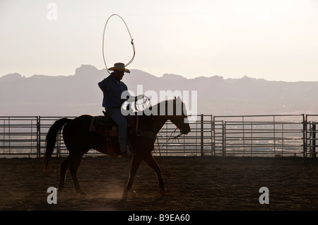 Silhouette cowboy con lazo a cavallo Golden Valley Kingman Arizona USA Foto Stock