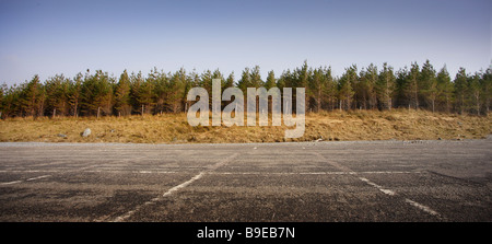 Ampio panorama di alberi sempreverdi nei cieli blu Foto Stock