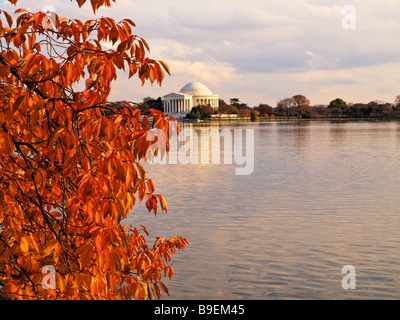 Vista del Jefferson Memorial attraverso Tidal Basin Foto Stock