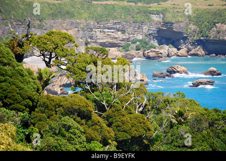 Vista costiera, Paparoa National Park, West Coast, Isola del Sud, Nuova Zelanda Foto Stock