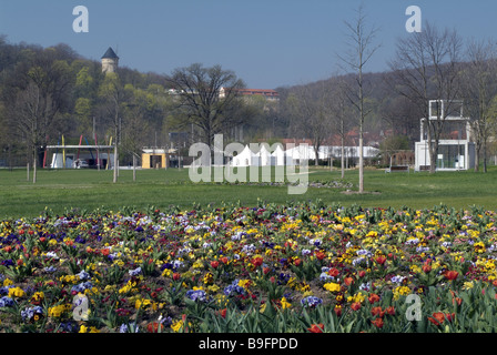 Al di fuori, bloom, aiuole, bloom, tempo di fioritura, federal garden fair, Germania, Gera, hofwiesenpark, Foto Stock