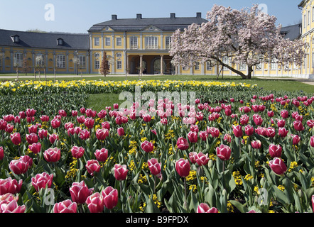 Architettura, fuori, barocco, bloom, aiuole, bloom, tempo di fioritura, giardino federale Fiera, Foto Stock