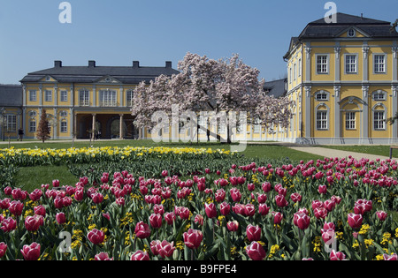 Architettura, fuori, barocco, bloom, aiuole, bloom, tempo di fioritura, federal garden fair, in Germania, in primavera, Foto Stock