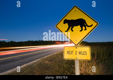 Cartello stradale avvisa gli automobilisti circa in via di estinzione Florida Panther, Everglades National Park, Florida Foto Stock