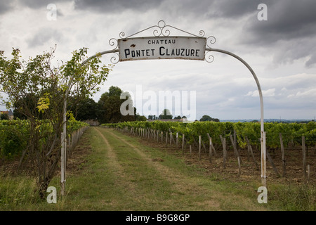 Ingresso ad arco di un vigneto a Chateau Pontet Clauzure, Francia Foto Stock